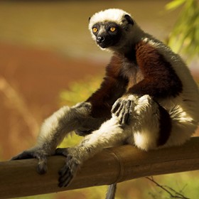 Photography: Madagascar